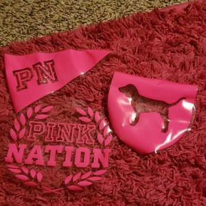 Vs pink decals 3